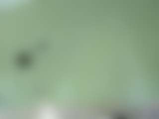Live cam show with MsPurrfectLove - Ride on Cam Slut