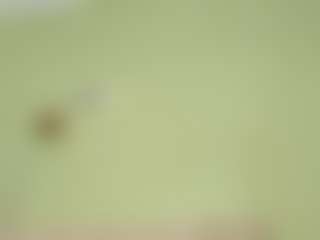 Live cam show with MsPurrfectLove - Doggy on LiveSexCams6