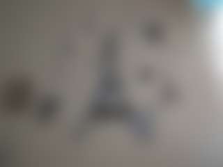 Trianabell's Live Sex Cam Show