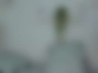 Pamela-White's Live Sex Cam Show