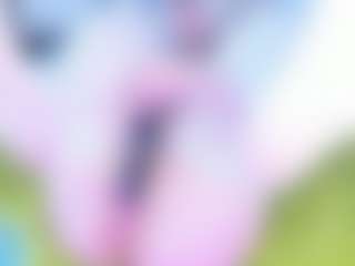 Riaasgremory's Live Sex Cam Show