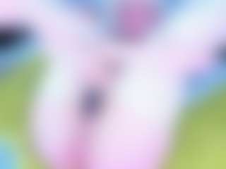 Riaasgremory's Live Sex Cam Show