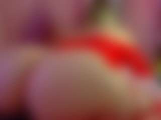 Lexi's Live Sex Cam Show