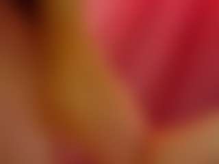 Lexi's Live Sex Cam Show