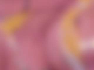 Steffany Beck's Live Sex Cam Show