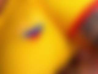Steffany Beck's Live Sex Cam Show
