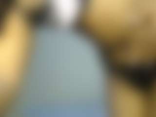 Diva's Live Sex Cam Show