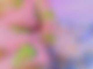 blaisysmith's Live Sex Cam Show