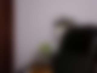 MariaJoseBarraza's Live Sex Cam Show