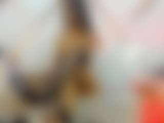 ScarlettHot5's Live Sex Cam Show