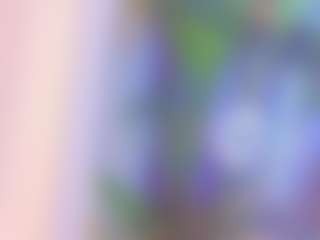 Live cam show with bonieklent - Black Small Tits on 1on1-livenow
