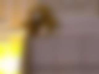 Serena's Live Sex Cam Show