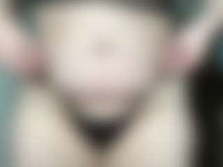 GoddessKing Adriane's Live Sex Cam Show