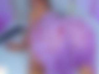amor-smith's Live Sex Cam Show