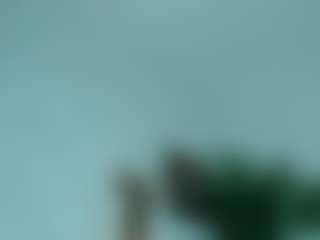 Live cam show with Hellen-Sky - Ebony on anonymated.com | colombia