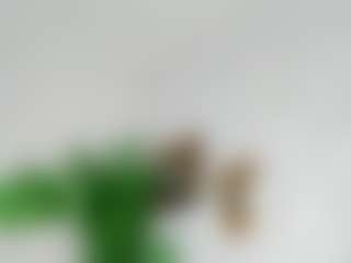 Live cam show with Hellen-Sky - Ebony on dasdasdadada.com | colombia