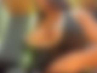 Camille Bennet's Live Sex Cam Show