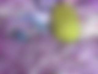 Venus's Live Sex Cam Show