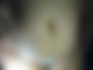 Live cam show with DaianaLutzRx - Sexwebcam Red Hair on dasdasdadada.com