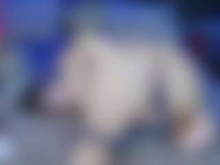 FluffyBeauty's Live Sex Cam Show