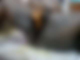 happysonia's Live Sex Cam Show