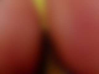 Xia Phoenix's Live Sex Cam Show