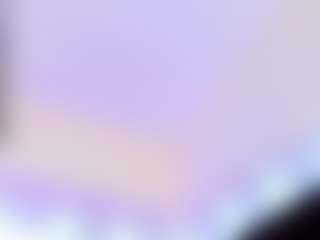 Live cam show with Stefany-Collins - Ejaculation on live18s.com