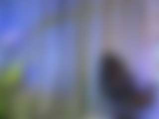 EmiliWilliams's Live Sex Cam Show