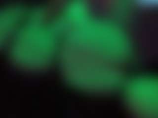 Papipolla's Live Sex Cam Show