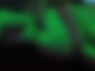 Papipolla's Live Sex Cam Show