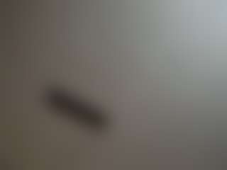 Papipolla's Live Sex Cam Show