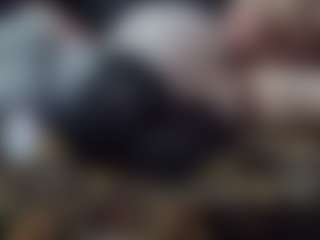 Live cam show with Papipolla - Brown Eyes on Camsoda