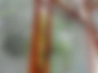 Naila's Live Sex Cam Show