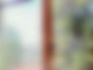 Naila's Live Sex Cam Show