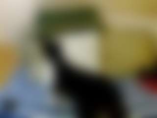 Live cam show with SquirtyMayaGold - Gape on Hubzter Live