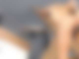 bibijolie's Live Sex Cam Show