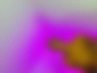 nicol-brown1's Live Sex Cam Show