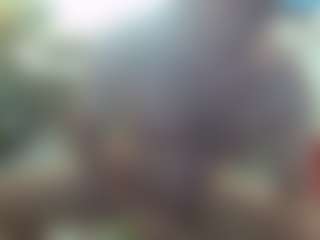 sideshowcan's Live Sex Cam Show