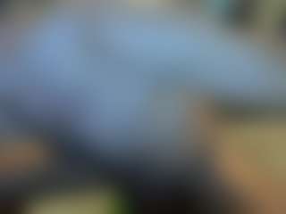 Live cam show with sideshowcan - Black Hair on galaxygirlnitro.com