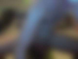 sideshowcan's Live Sex Cam Show