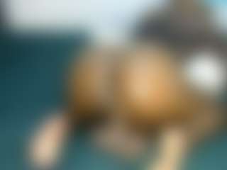 Judy-The-Booty's Live Sex Cam Show