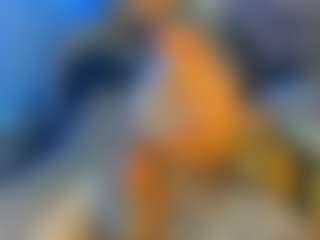 BombomGill's Live Sex Cam Show