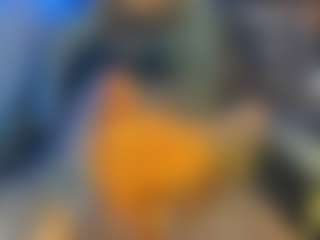 BombomGill's Live Sex Cam Show