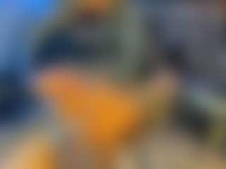 BombomGill's Live Sex Cam Show