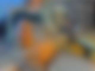 BombomGill's Live Sex Cam Show