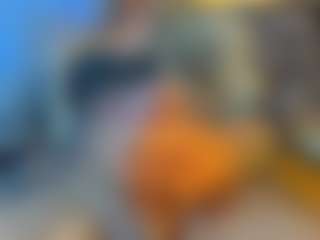 BombomGill's Live Sex Cam Show