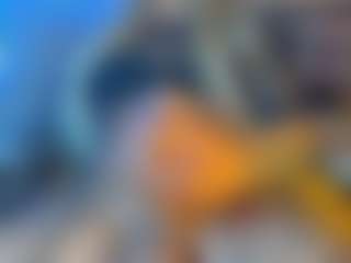 BombomGill's Live Sex Cam Show