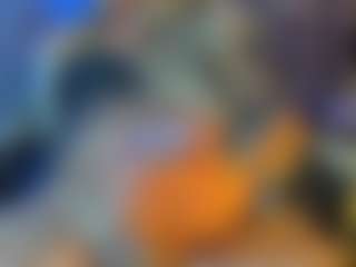 BombomGill's Live Sex Cam Show