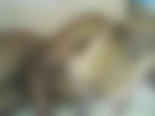 DOTTY-LEILA's Live Sex Cam Show