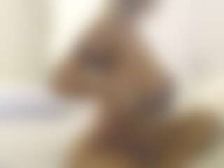XoxP0ck3tR0cketxoX's Live Sex Cam Show